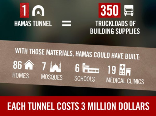 tunnel costo